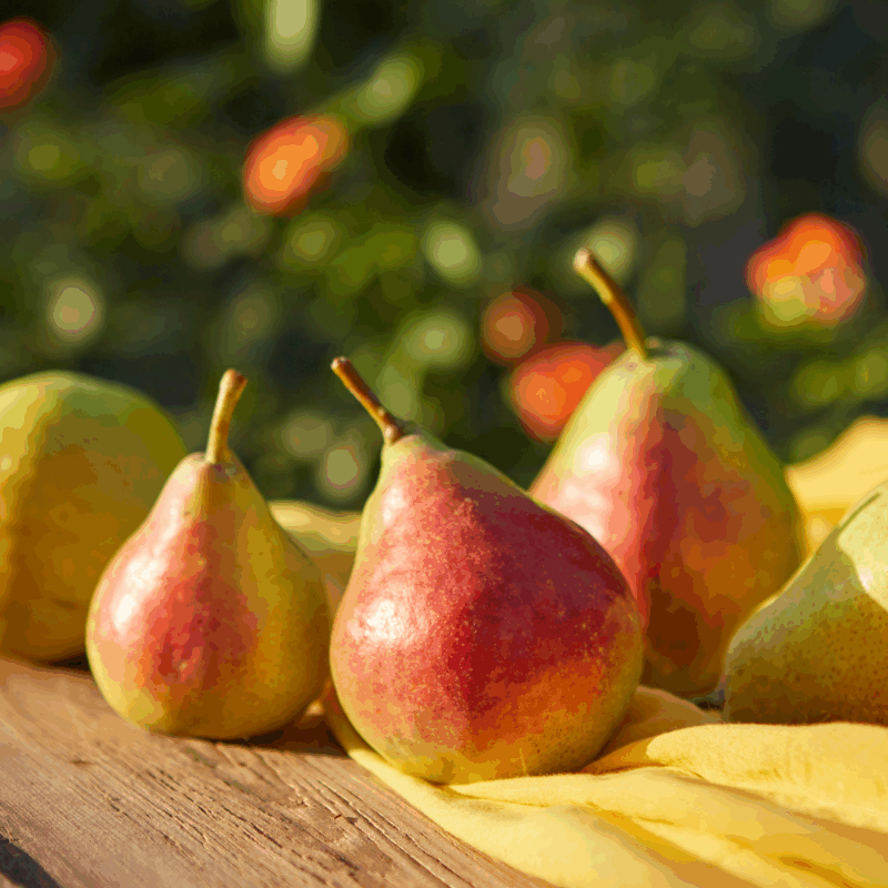 pears