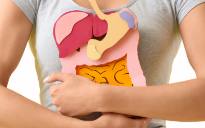 Yoga therapy resources | Christchurch 1 Digestive spices